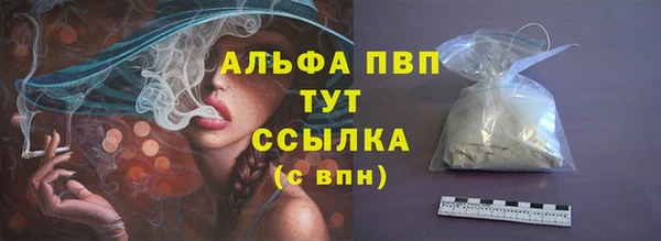 индика Саяногорск