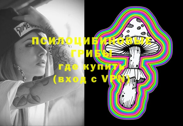 индика Саяногорск
