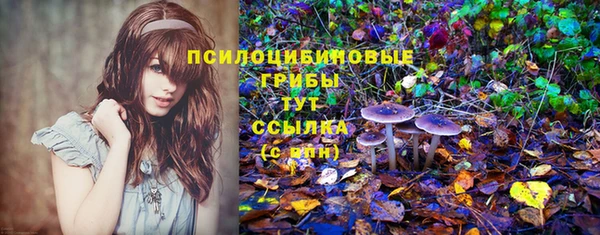 бутират Белоозёрский