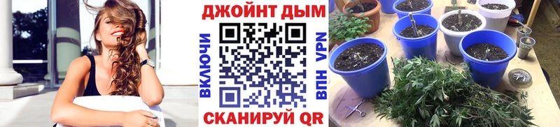 купить   Окуловка  Каннабис Amnesia 